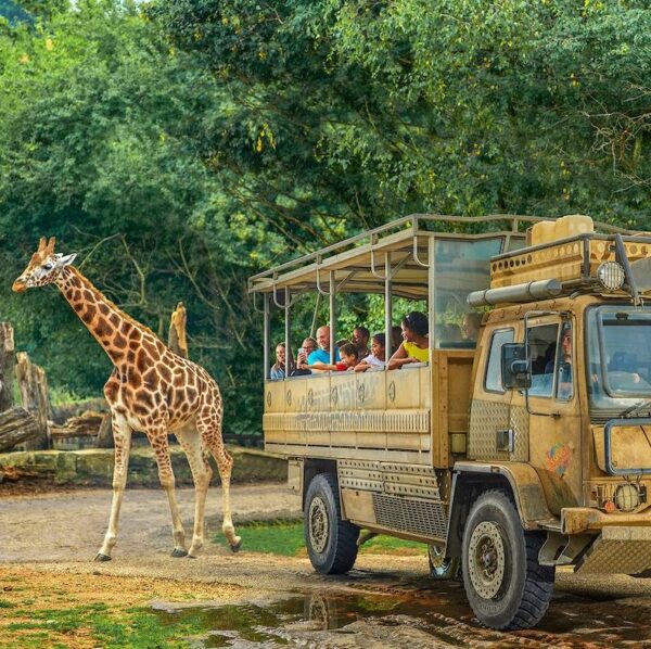 London - Chessington World of Adventures - Image 3