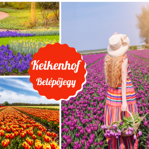 Keikenhof belepojegy