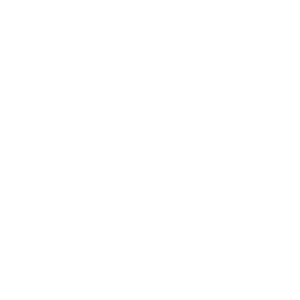 Városnéző hajó