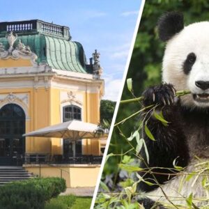 Bécs Schönbrunn Állatkert