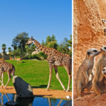 Valencia Bioparc