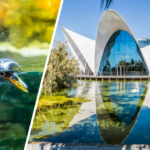 Valencia - Oceanografic