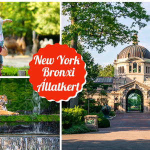 New York - Bronxi Állatkert