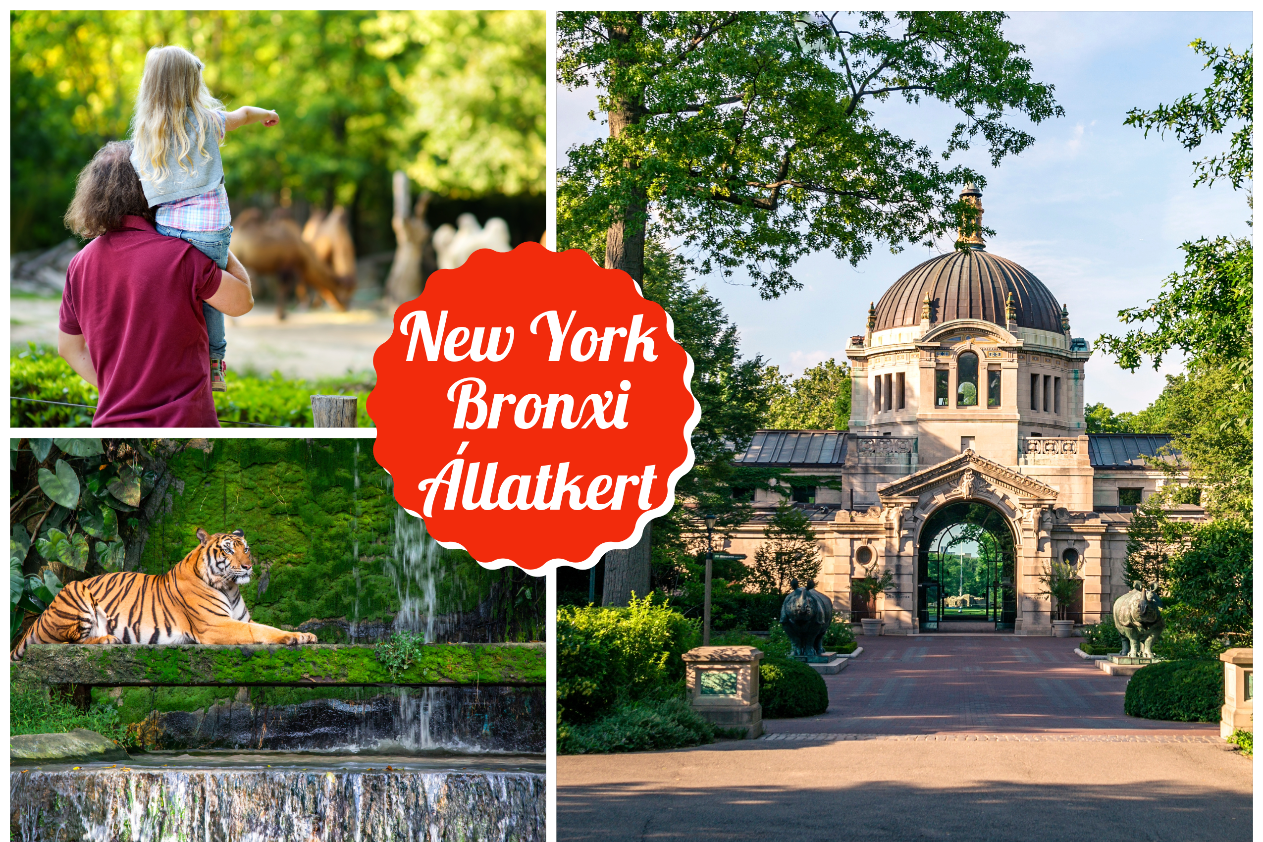 NewYorkbronxallatkert