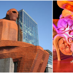 Leiden - Corpus múzeum belépőjegy