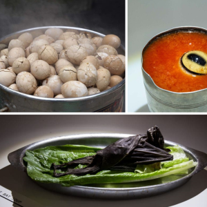 Malmö - Disgusting food museum