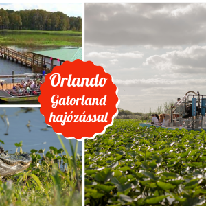Orlando Gatorland hajoval
