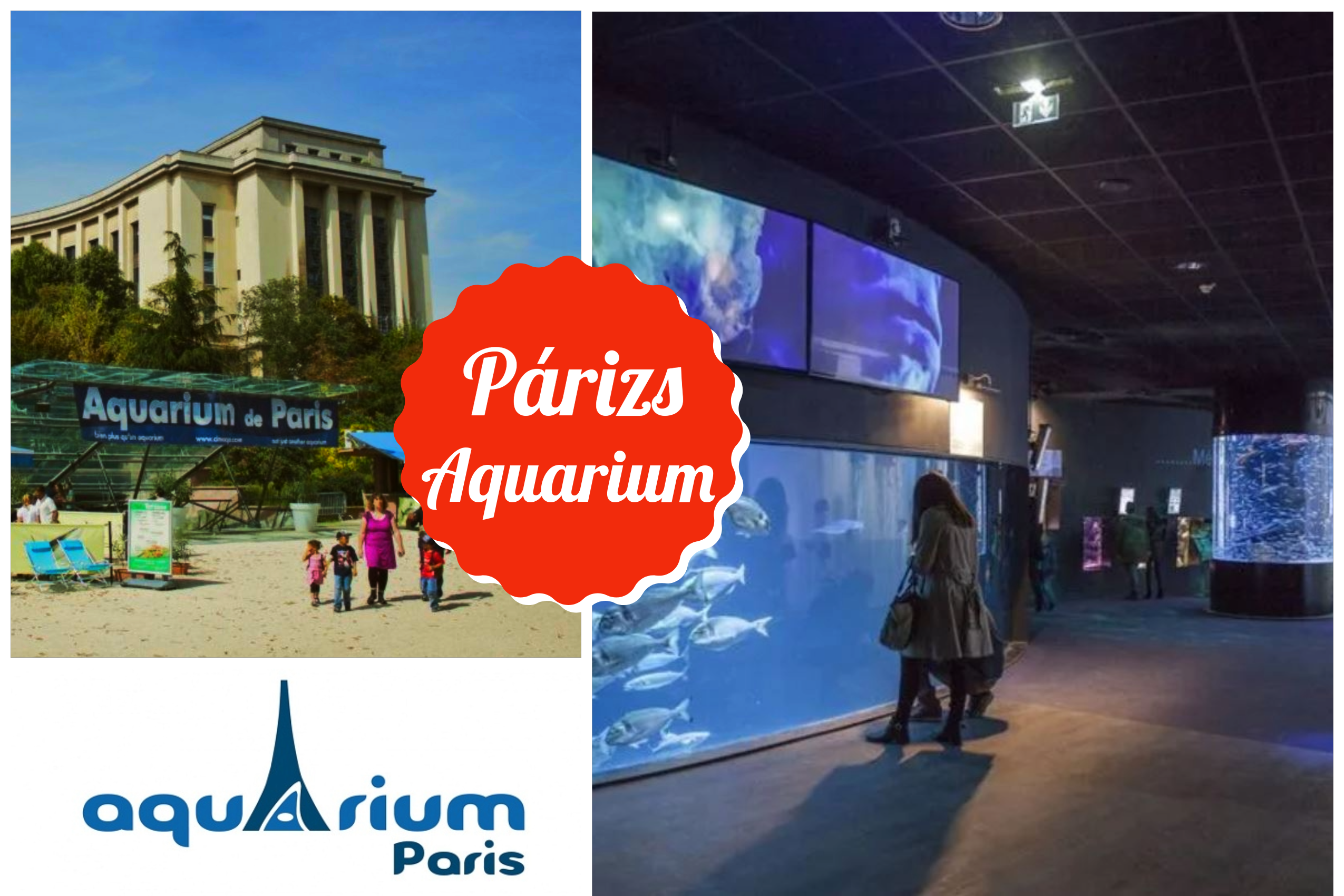 Párizs Aquarium belépőjegy