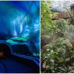 Göteborg - Universeum