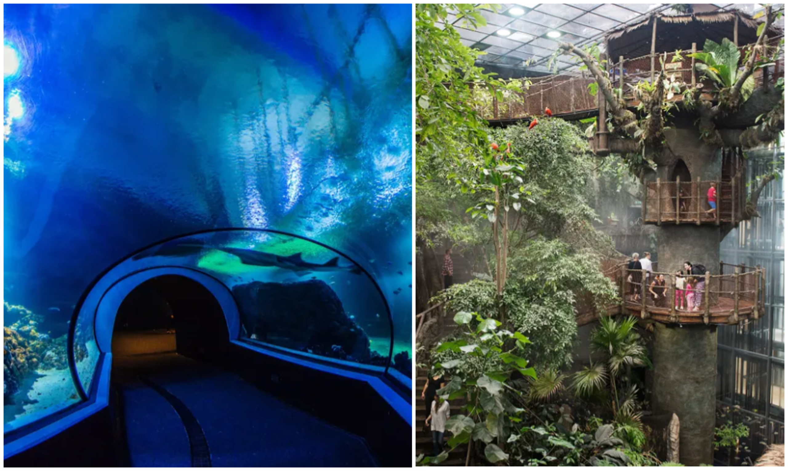 Göteborg - Universeum