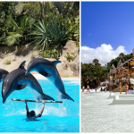 Tenerife - Loro Parque + Siam Park