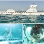 Hurghada - Tengeralattjárós program