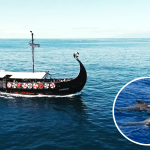 Los Cristianos Tenerife - Vikinghajózás